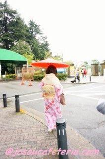 今シーズン最後のお花見 新宿御苑をウロウロ 姫華ちゃん編 その1